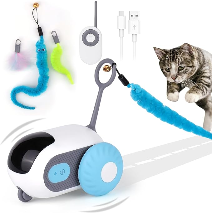 PurrCharge™ Cat Cruiser