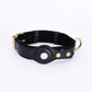 PawTrack™ Dog Collar