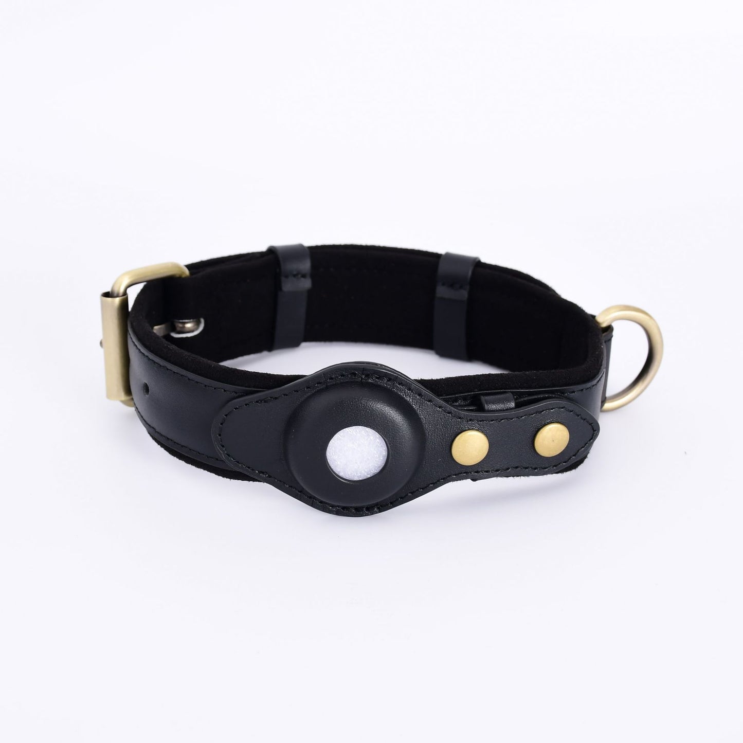 PawTrack™ Dog Collar