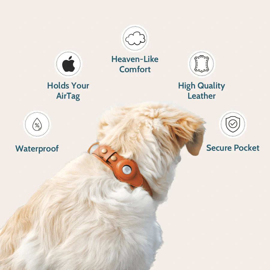 PawTrack™ Dog Collar