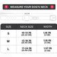PawTrack™ Dog Collar