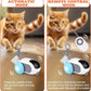 PurrCharge™ Cat Cruiser