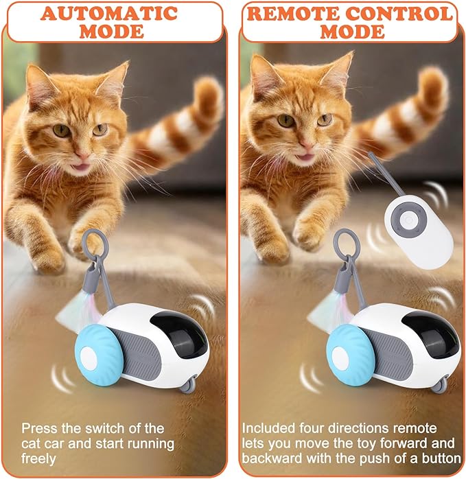 PurrCharge™ Cat Cruiser