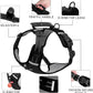 CozyWalk™ Dog Harness