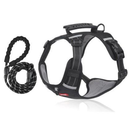 CozyWalk™ Dog Harness
