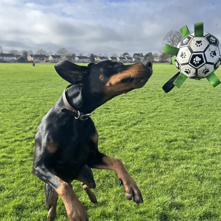 Viral Indestructi™ Ball