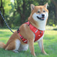 CozyWalk™ Dog Harness